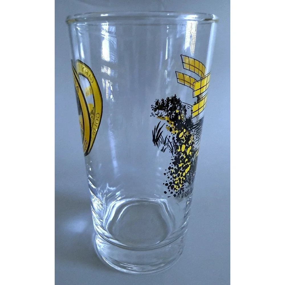 Gary IN 1956 Jubilee Chanute Glider Glass Tumbler Highball Enamel Paint 5.25